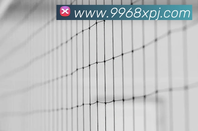 xpjAPP 封面图